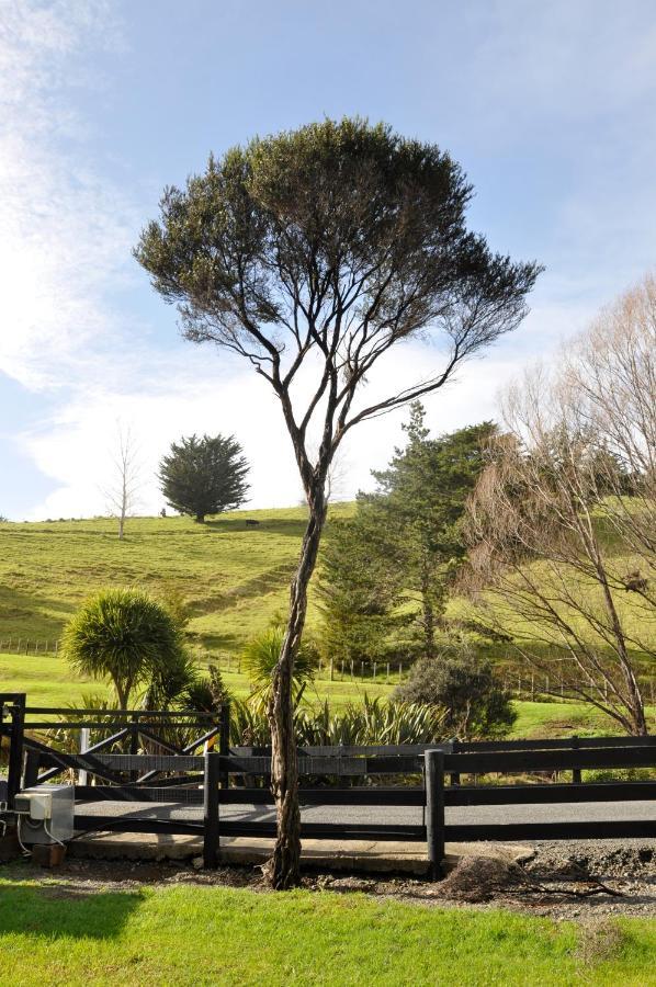 Matapouri & Tutukaka Spectacular Coastal Views- Aroha Luxury Guest Suite Extérieur photo