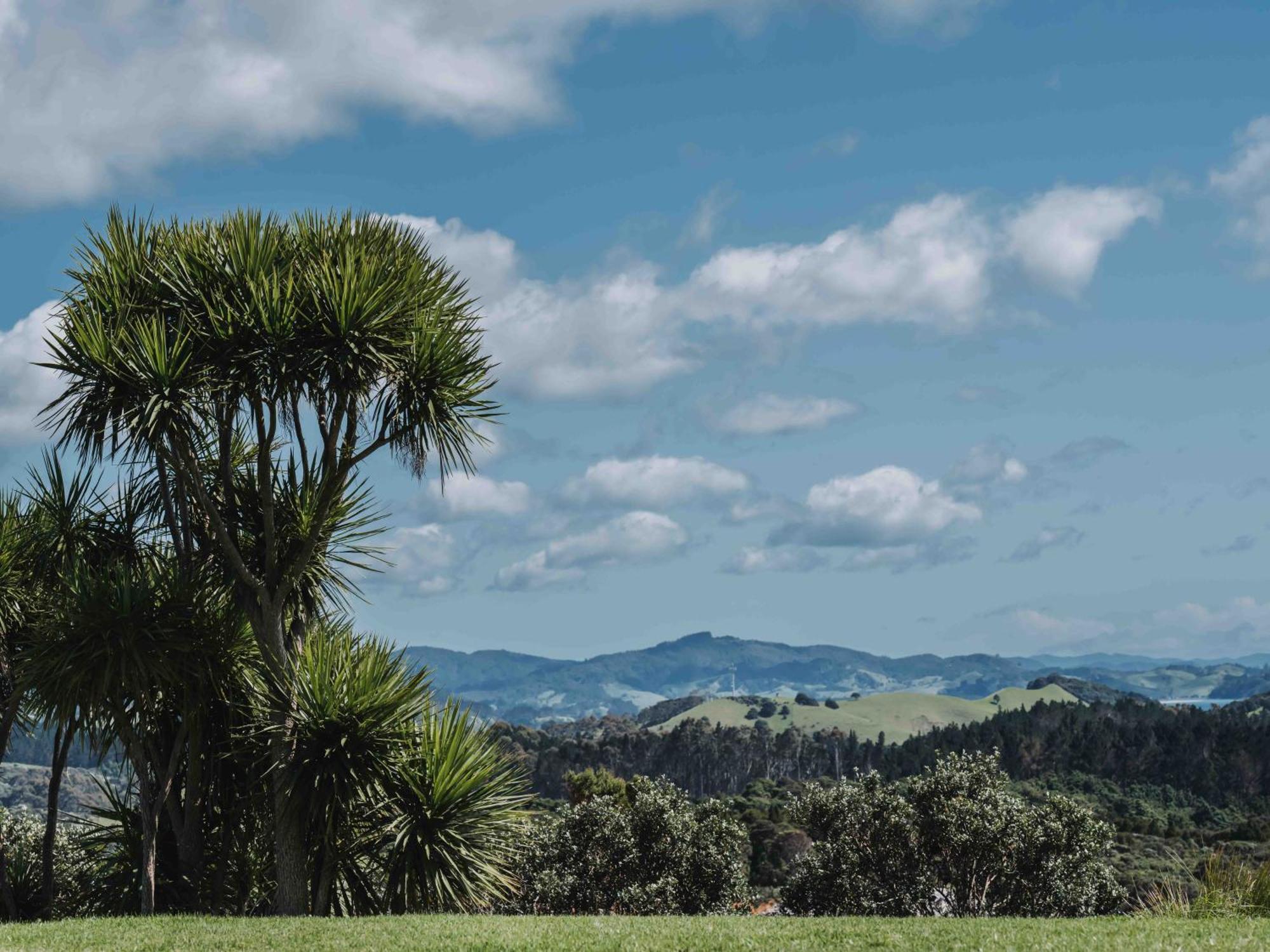 Matapouri & Tutukaka Spectacular Coastal Views- Aroha Luxury Guest Suite Extérieur photo