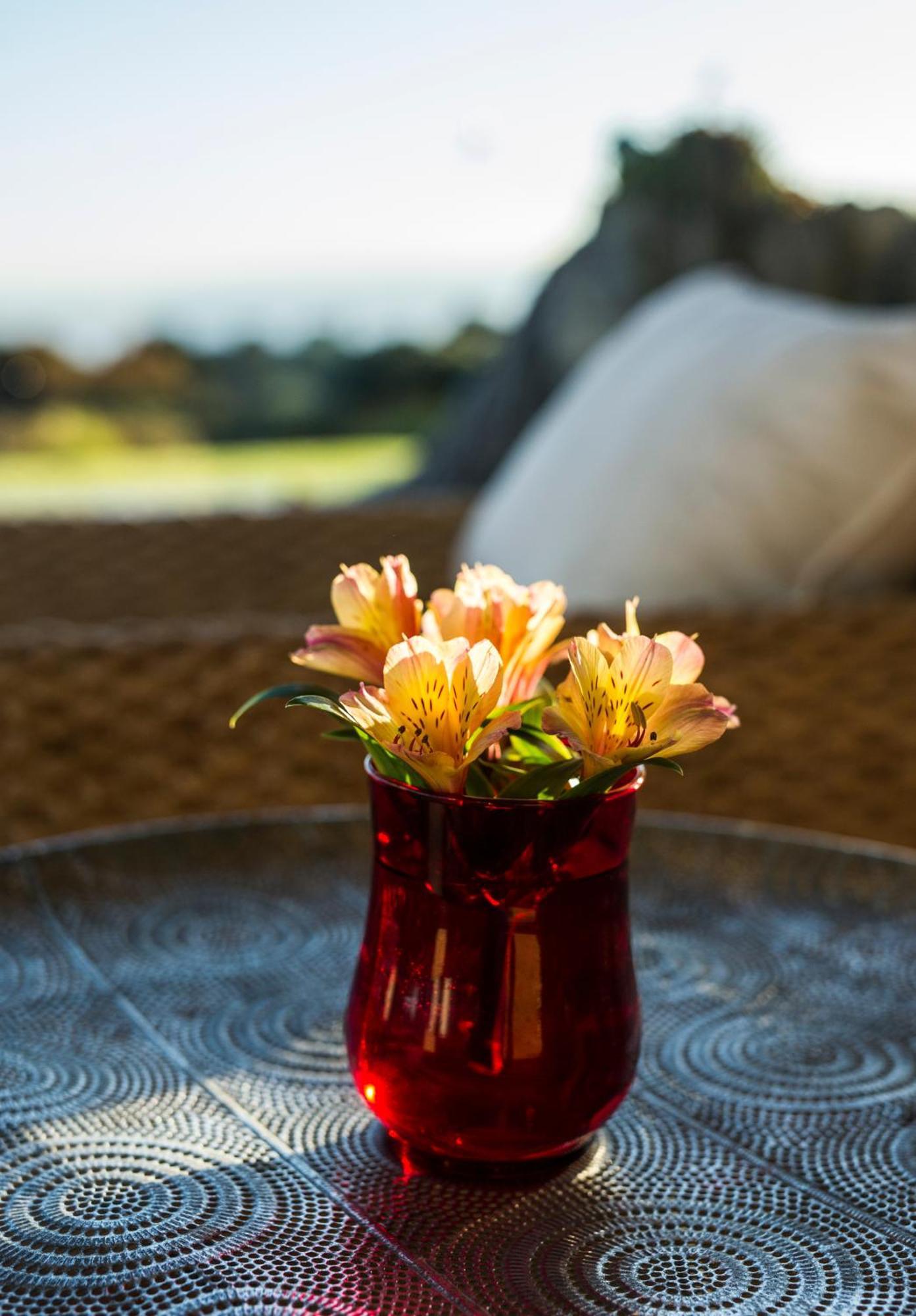 Matapouri & Tutukaka Spectacular Coastal Views- Aroha Luxury Guest Suite Extérieur photo